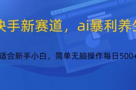 快手新赛道，ai暴利养生，0基础的小白也可以操作轻松日入500+