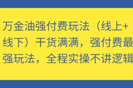 万金油强付费玩法（线上+线下）干货满满，强付费最强玩法，全程实操不讲逻辑（更新）