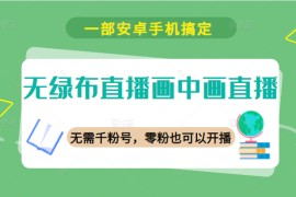 无绿布直播画中画直播，一部安卓手机搞定，无需千粉号，新手零粉也可以开播