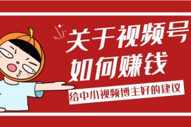 某公众号付费文章：关于视频号如何赚钱，给中小视频博主好的建议