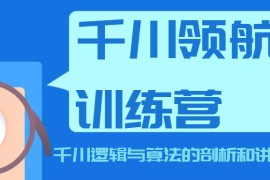 千川领航训练营，千川逻辑与算法的剖析和讲解