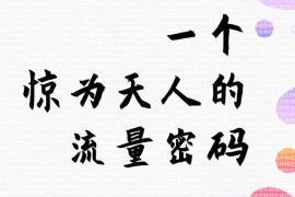 车载U盘冷门项目，惊为天人的流量密码，轻松月赚10000+