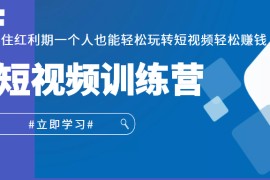 短视频训练营，抓住红利期一个人也能轻松玩转短视频轻松赚钱 (27节课)  