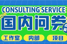 最新工作室内部国内问卷调查项目 单号轻松日入30+多号多撸【详细教程】