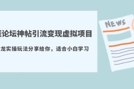 天涯论坛神帖引流变现虚拟项目，一条龙实操玩法分享给你（教程+资源）