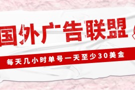 外面收费1980最新国外LEAD广告联盟搬砖项目，单号一天至少30美金(详细教程) 