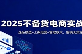 2025不备货电商实战课：选品模型+上架运营+管理放大，解锁无货源新风口