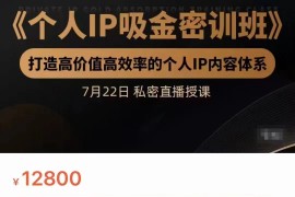 个人IP吸金密训班，打造高价值高效率的个人IP内容体系（价值12800元）