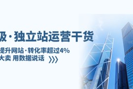 亿级独立站运营干货：全面提升网站·转化率超过4%，轻松大卖 用数据说话