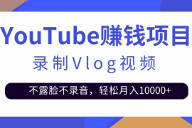 录制Vlog视频发布到Youtube，不露脸不录音，轻松月入10000+【视频教程】