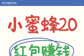 小蜜蜂赚钱项目2.0领红包单号日收益10元以上，多账号操作日赚100+【亲测已收款】