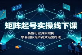 矩阵起号实操线下课：拆解行业真实案例，学会团队矩阵高效运营打法