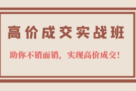 高价成交实战班，助你不销而销，实现高价成交，让客户追着付款的心法技法！