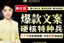 爆款文案硬核特种兵孵化营，实现了每个月2000-30000+的副业增收