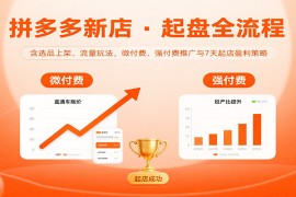 拼多多新店起盘全流程，含选品上架、流量玩法，微付费、强付费推广与7天起店盈利策略