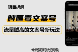 抖音快手毒文案新玩法，牌匾文案号，起号快易变现