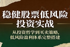 稳健股票低风险投资实战：从投资哲学到买卖策略，低风险盈利体系完整搭建