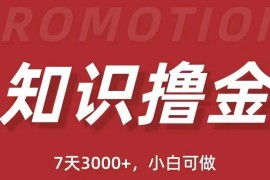 抖音知识撸金项目简单粗暴日入1000+，小白可做（教程+资料）