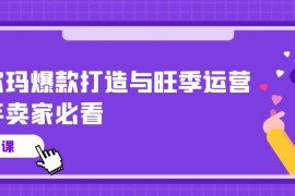 沃尔玛爆款打造与旺季运营，新手卖家必看（11节视频课）