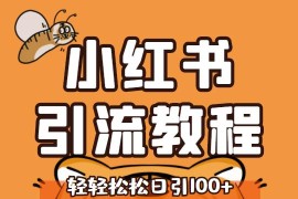 小红书运营引流全系列课程，每天引流100精准粉