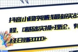 抖音小程序赚钱最新实战课程，0基础,实操+理论，有人已经日赚20000+  
