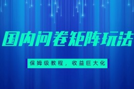 保姆级教程，国内问卷矩阵玩法，轻松赚收益