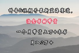 抖音和视频号最新蓝海赛道，治愈书籍带货，一个月带货上万+本书，月入2万＋