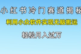 小红书冷门赛道揭秘,利用小众软件实现无脑搬运，轻松月入过万