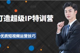 超级IP特训营：表演表达、高效输出优质短视频运营技巧，价值999元
