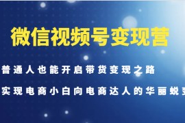 微信视频号变现营-普通人也能开启带货变现之路，实现电商小白向电商达人的华丽蜕变