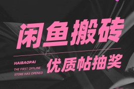 咸鱼优质帖搬砖，单号一天赚个二三十没问题 多号多撸。只要你不懒就能赚