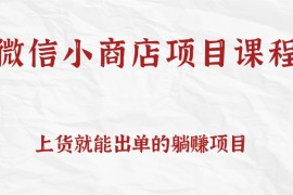 上货就能出单的微信小商店项目课程，坚持上新就有收入，完全躺赚