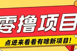 很简单的一个零撸项目，B站小红书发布二次元动漫风格视频，20个赞10元收益最高4000元