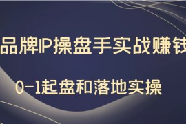 秒懂代运营：品牌IP操盘手实战赚钱，0-1起盘和落地实操（价值199元）