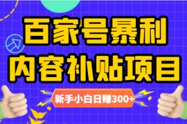百家号暴利内容补贴项目，图文10元一条，视频30一条，新手小白日赚300+