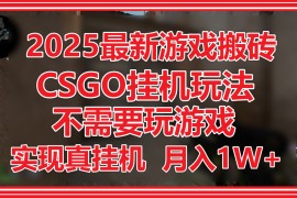 2025最新游戏搬砖，CSGO挂机，不需要玩游戏，实现真挂机，月入1W+
