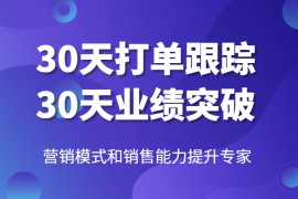 营销模式和销售能力提升专家，30天打单跟踪，30天业绩突破