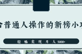 分享一个适合普通人操作的赚钱项目，新手也能轻松实现月入5000+
