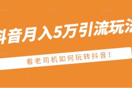 某公众号付费文章：抖音月入5万引流玩法，看看老司机如何玩转抖音