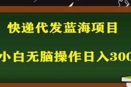 最新蓝海快递代发项目，小白零成本照抄也能日入300+ 