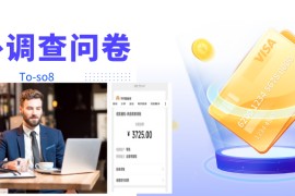 跨境问卷项目，操作简单一天稳定100美刀，每个月能挣1-3W  