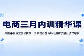 电商三月内训精华课：最新平台运营玩法拆解，干货实战落地助力店铺流量业绩双爆发
