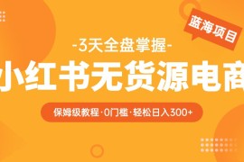 小红书无货源电商保姆级教程，从0到日入300，爆单3W