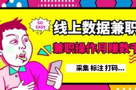 线上数据兼职【采集 标注 打码...】等多个项目，兼职操作月赚数千