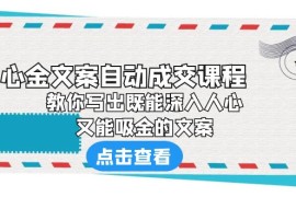 《心金文案自动成交课程》 教你写出既能深入人心、又能吸金的文案 