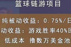国外区块链篮球游戏项目，前期加入秒回本，被动收益日0.75%，撸数万美