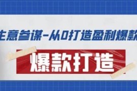 从0打造盈利爆款：手把手教您打造爆款的多种玩法 