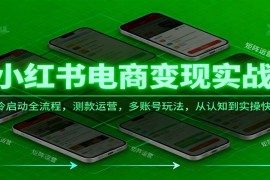 小红书电商变现实战课，冷启动全流程，测款运营，多账号玩法，从认知到实操快速起店