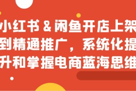 小红书与闲鱼开店上架到精通推广，系统化提升和掌握电商蓝海思维