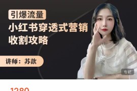 小红书穿透式营销收割攻略 引爆流量，助你玩转小红书